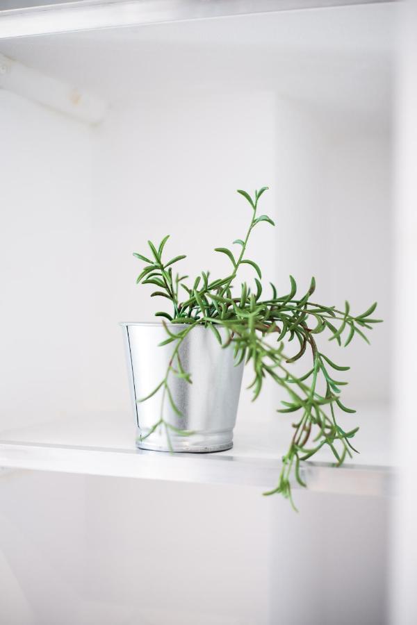Modern Apartment, Short Walk To Acropolis Sites 아테네 외부 사진